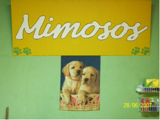 Mimosos